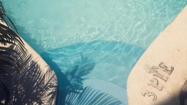 A clear swimming pool with a palm leaf shadow and the number '3' engraved on the edge. - Hotel Restaurant Hamilton (Boca Chica)