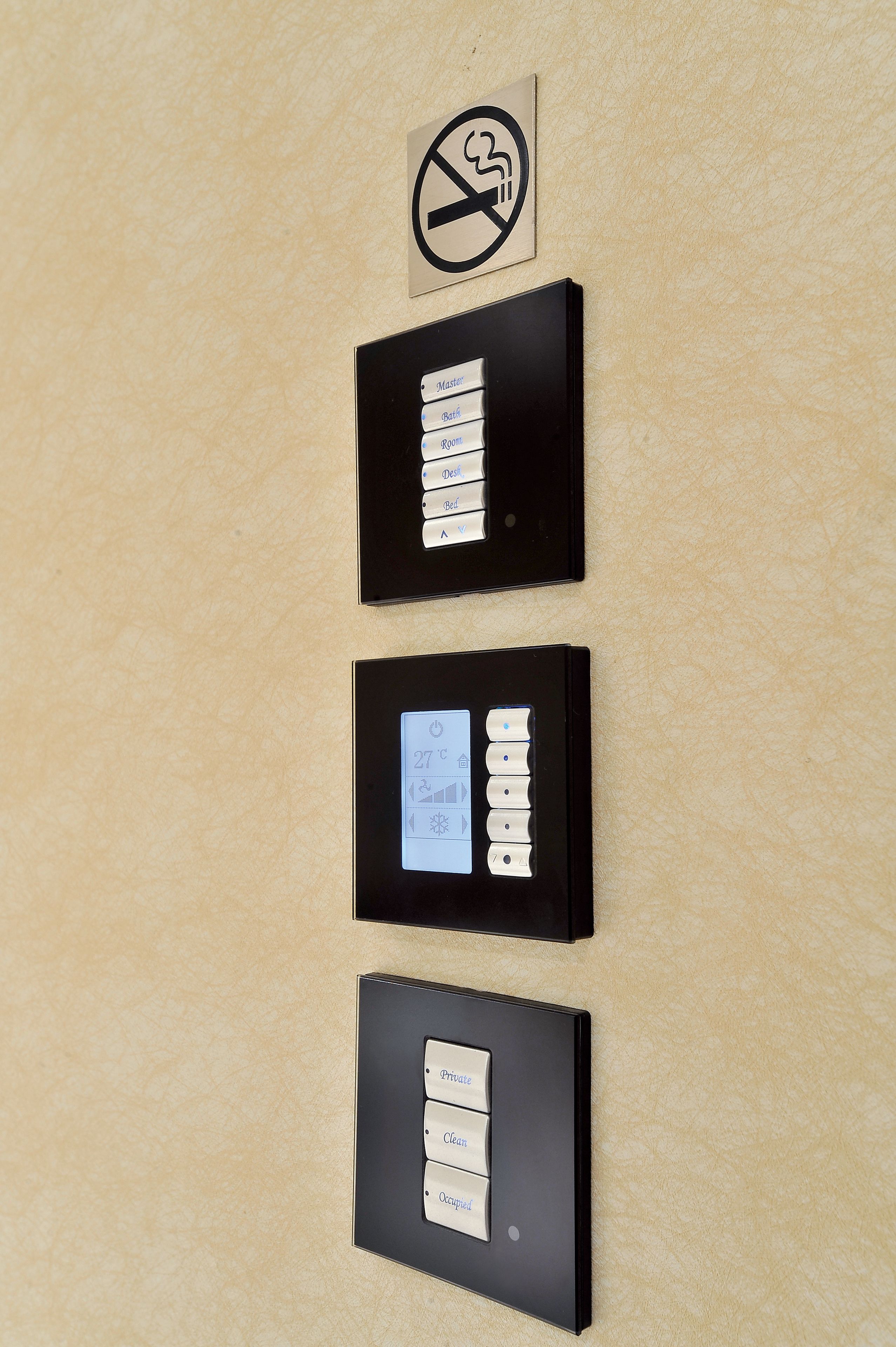 Photo - Mingle With The Star