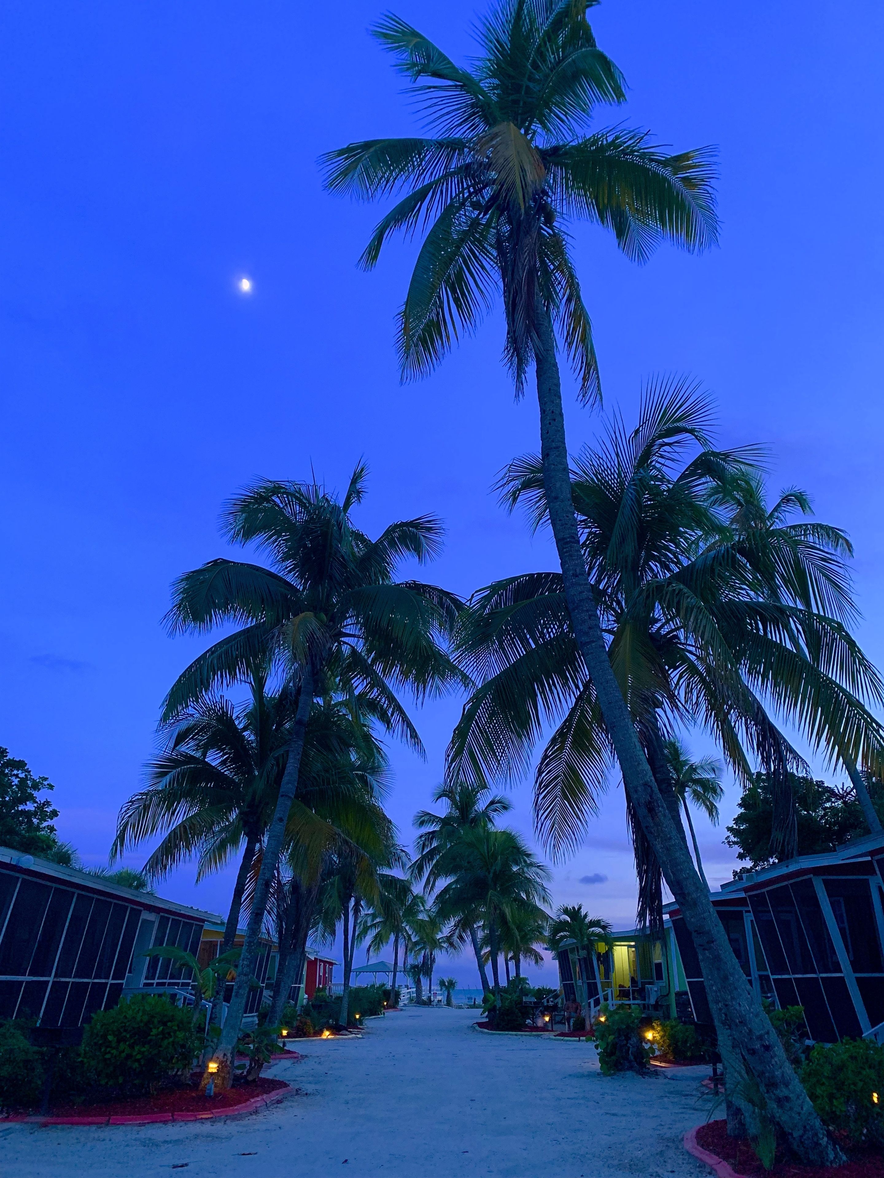 Front of property - evening/night