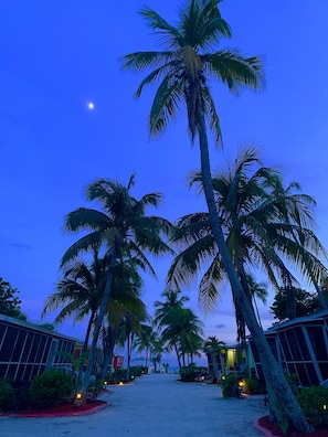 Front of property - evening/night