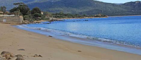 On the beach, white sand, motor boating