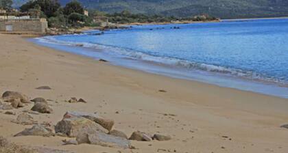 Hôtel les Eucalyptus