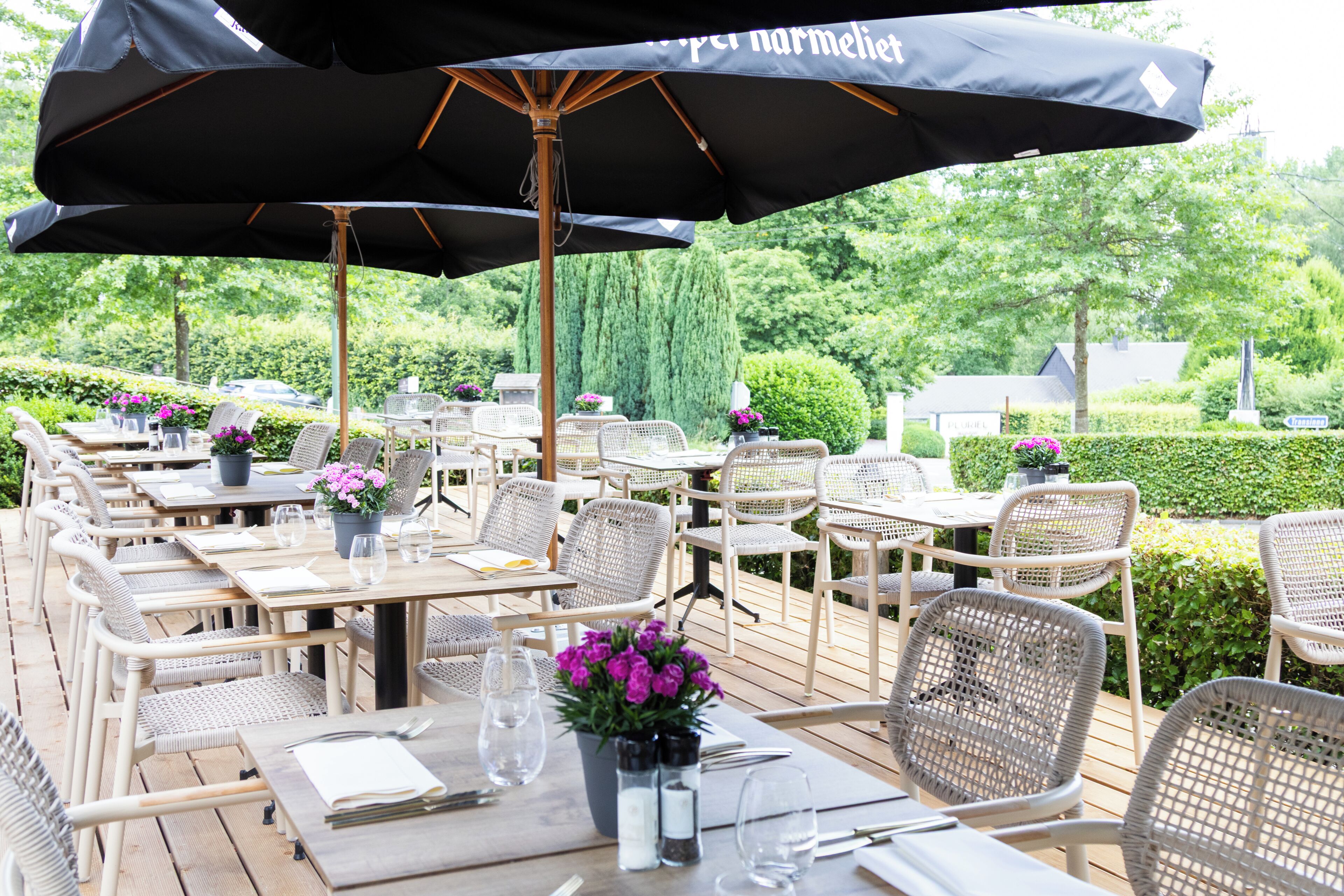 Terras