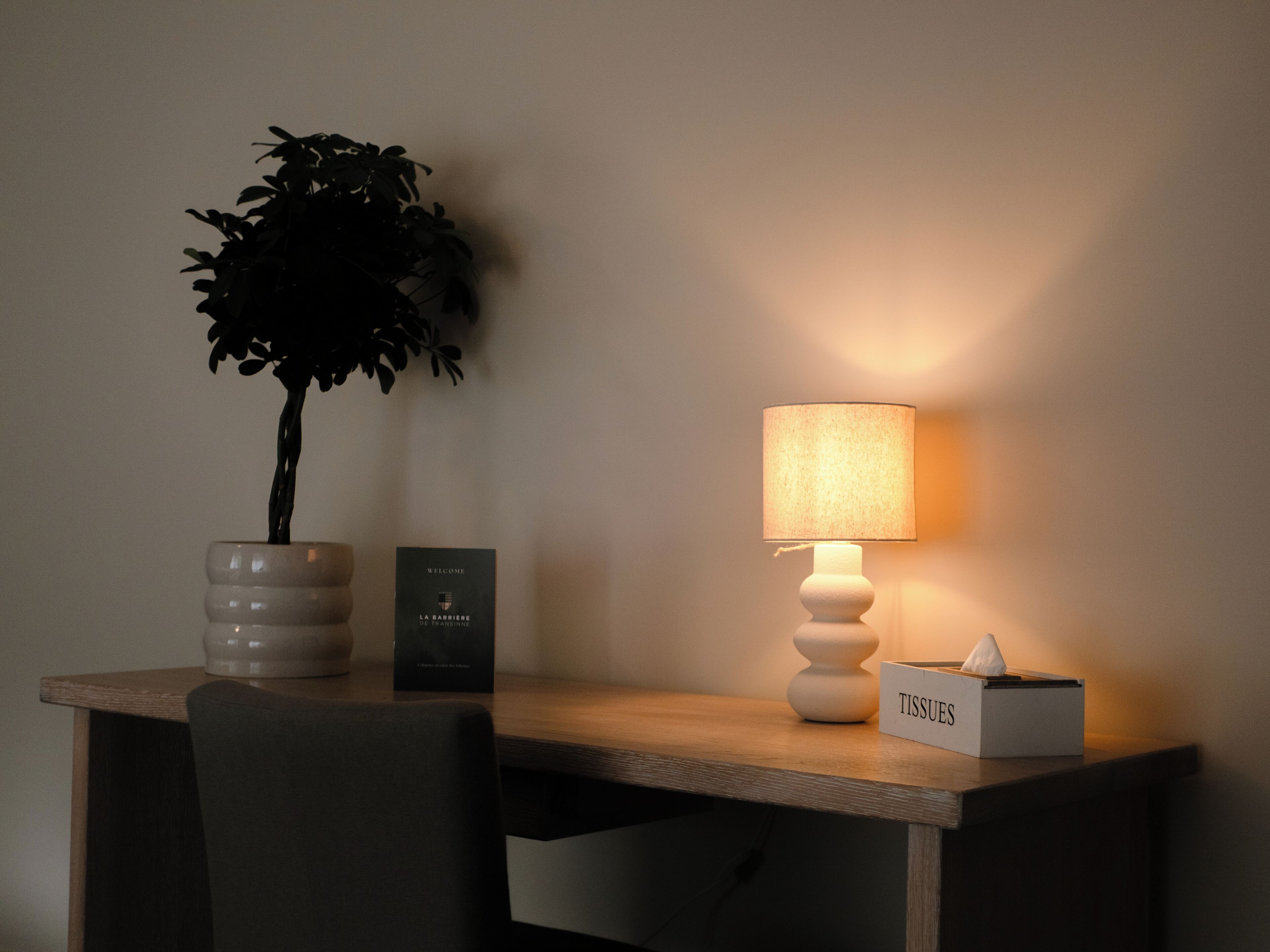 A desk with a potted plant, a lamp, a welcome sign, and a tissues box.
