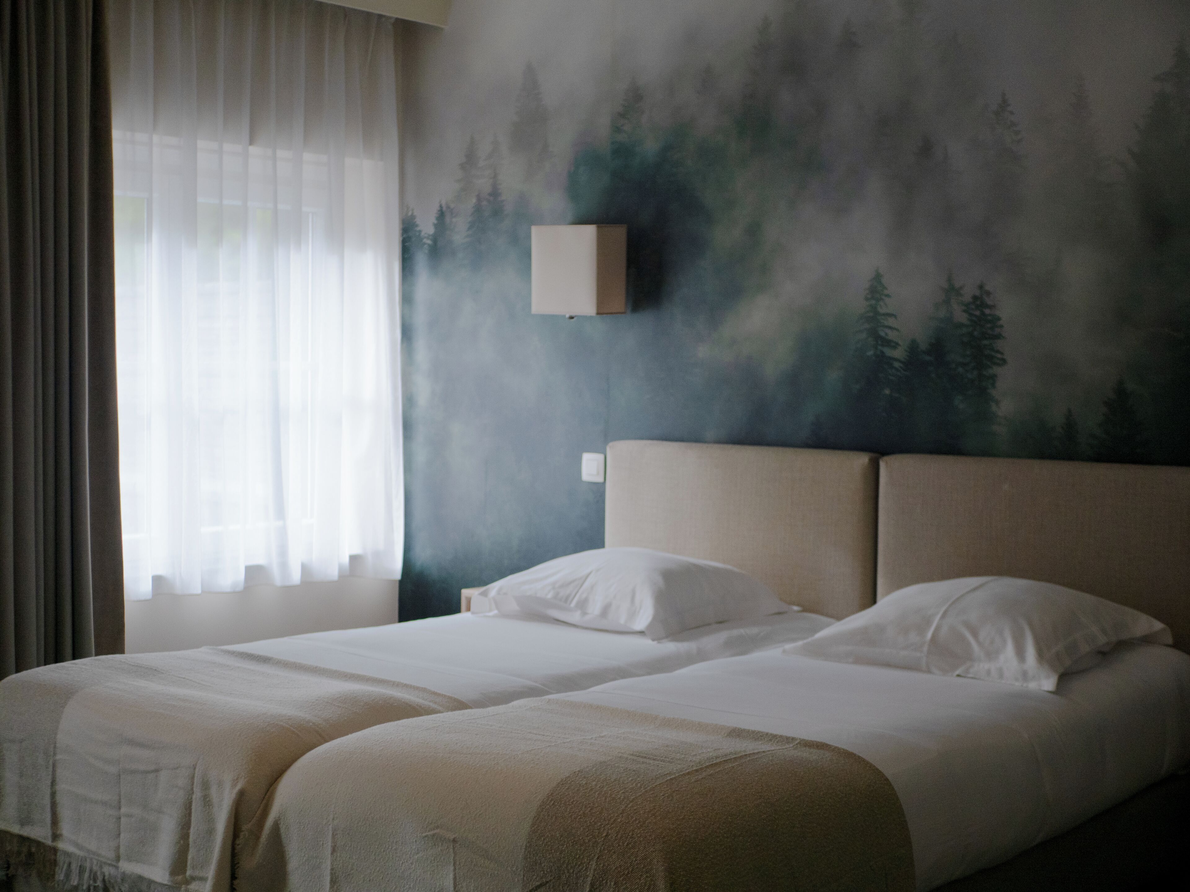Chambre Classique avec lits jumeaux