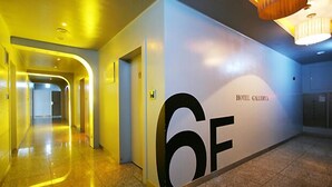Hallway - Gallerya Hotel (Seoul)
