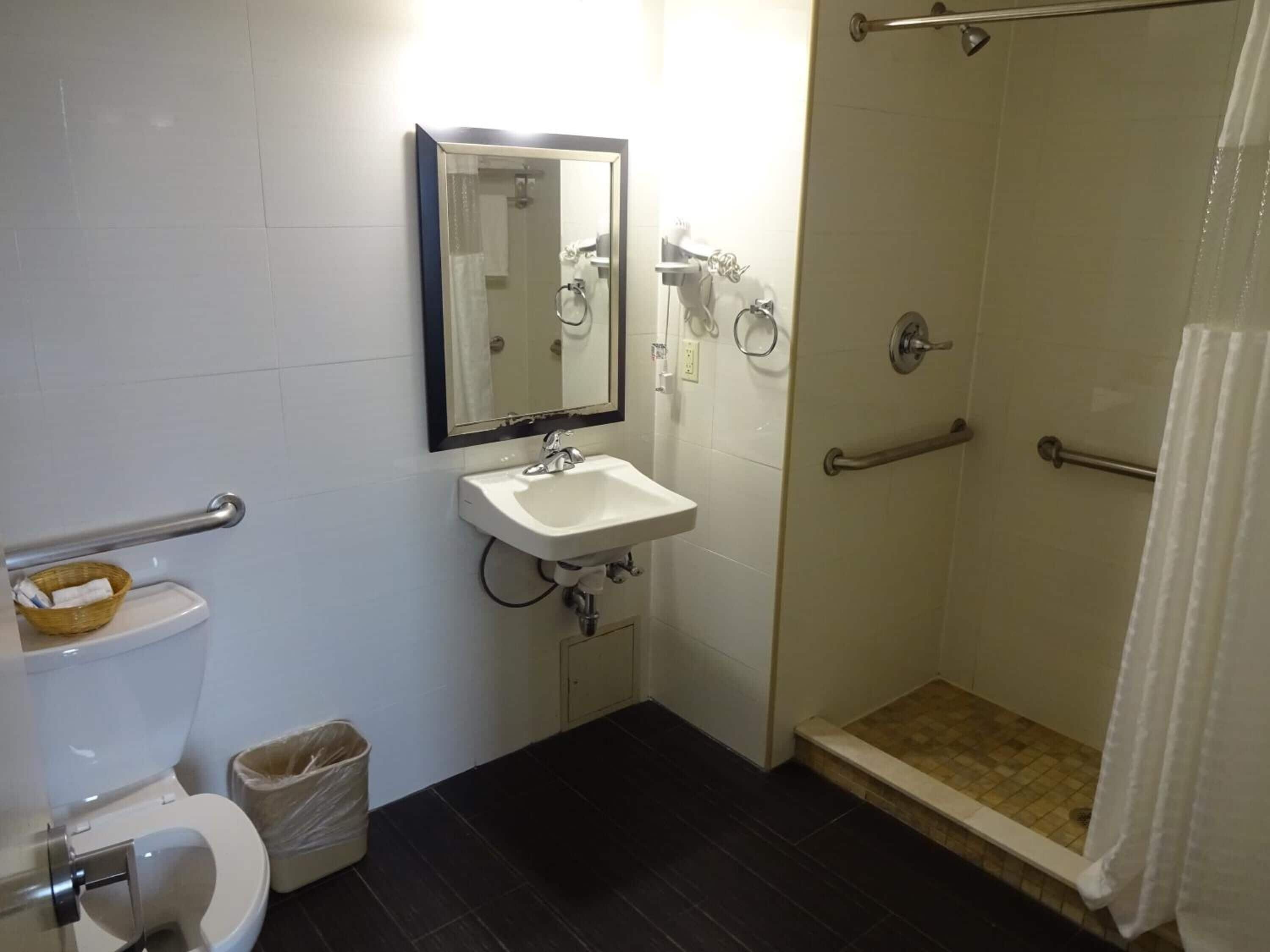 A bathroom with a toilet, sink, mirror, shower, and grab bars.