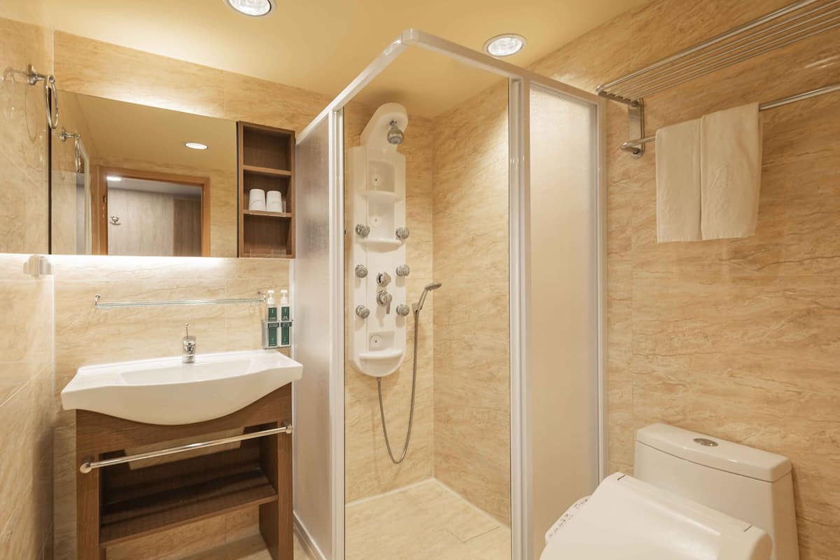 shower, hydromassage showerhead, hair dryer, slippers