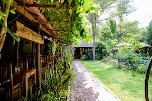 Frokost og lunsj serveres, internasjonale retter, utsikt mot bassenget