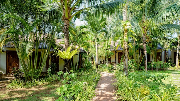 A pathway leading to a row of traditional-style buildings surrounded by lush greenery and palm trees. - La Mer Resort (Phu Quoc)