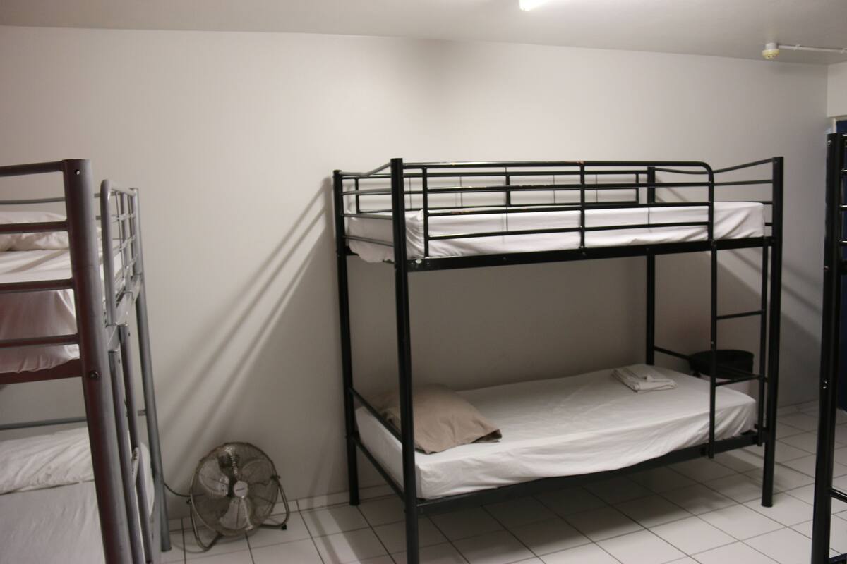 A bunk bed room with a fan and a ladder.