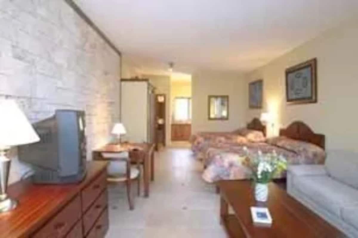 Een kamer met een bed, een bureau, een stoel, een televisie en een lamp.