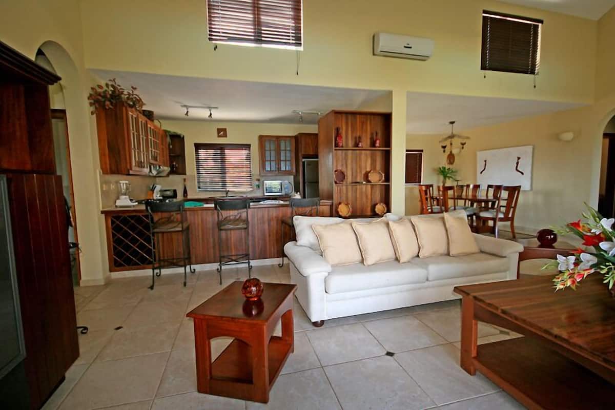 junior suite, 1 king bed | living room | tv