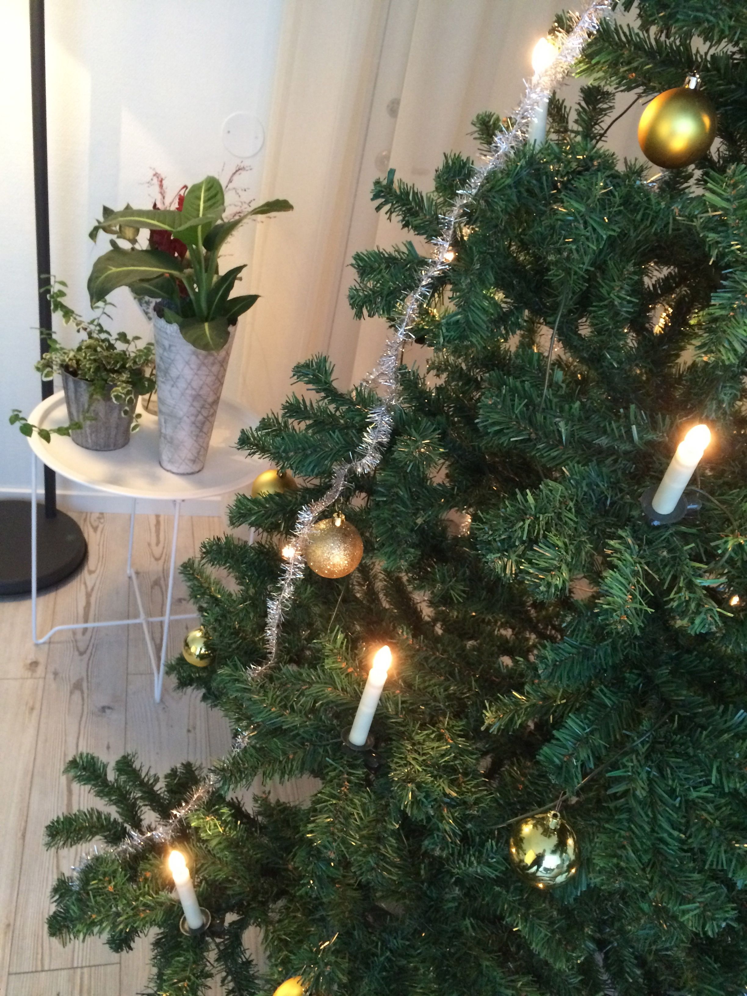 Foto - Le Mat B&B Åkersberga