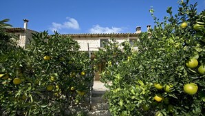 A stone building with a tiled roof, surrounded by citrus trees bearing fruit. - Agroturismo Son Ginebró (Inca)