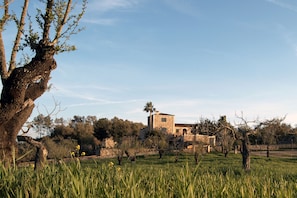 A stone building with a tower, surrounded by trees and a grassy field. - Agroturismo Son Ginebró (Inca)