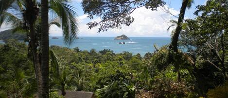 A lush garden with palm trees and tropical plants, leading to a view of the ocean and a small island.