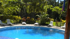 Una piscina con agua azul cristalina, rodeada de vegetación exuberante y sillas de descanso blancas.