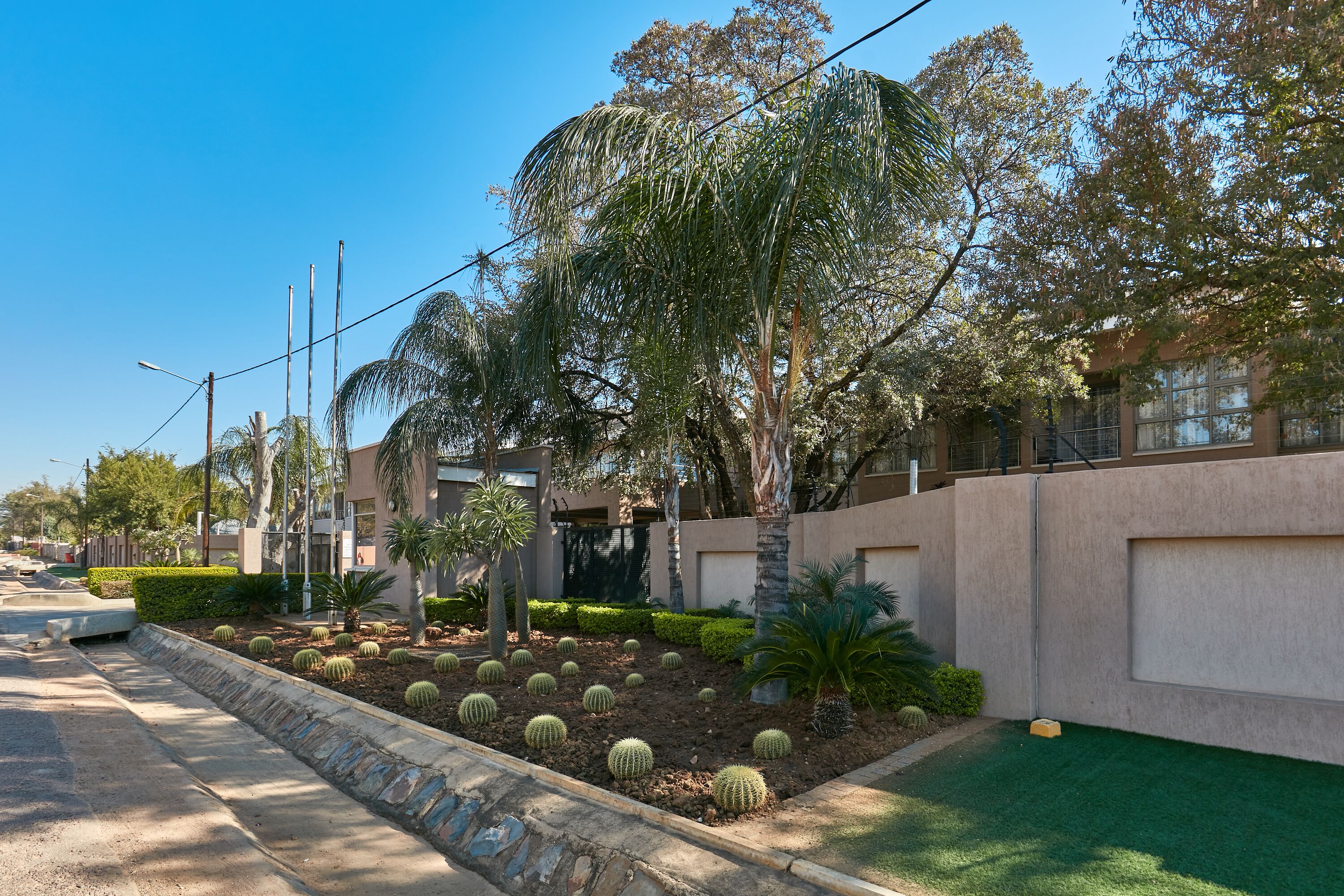 Uma rua residencial com fileira de casas, calçada e jardim com cactos e palmeiras.