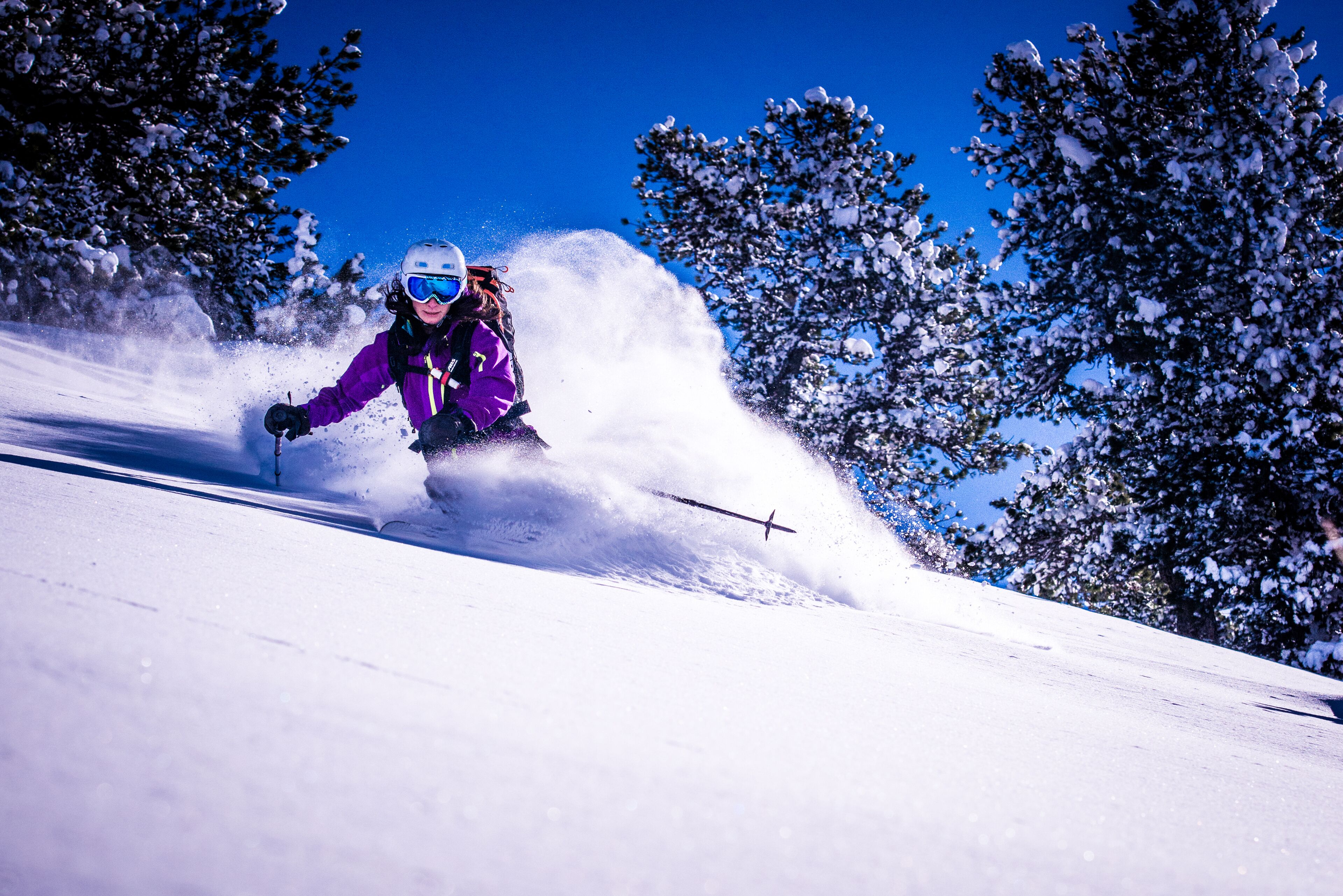 Une personne fait du ski sur une pente enneigée, avec des arbres en arrière-plan.