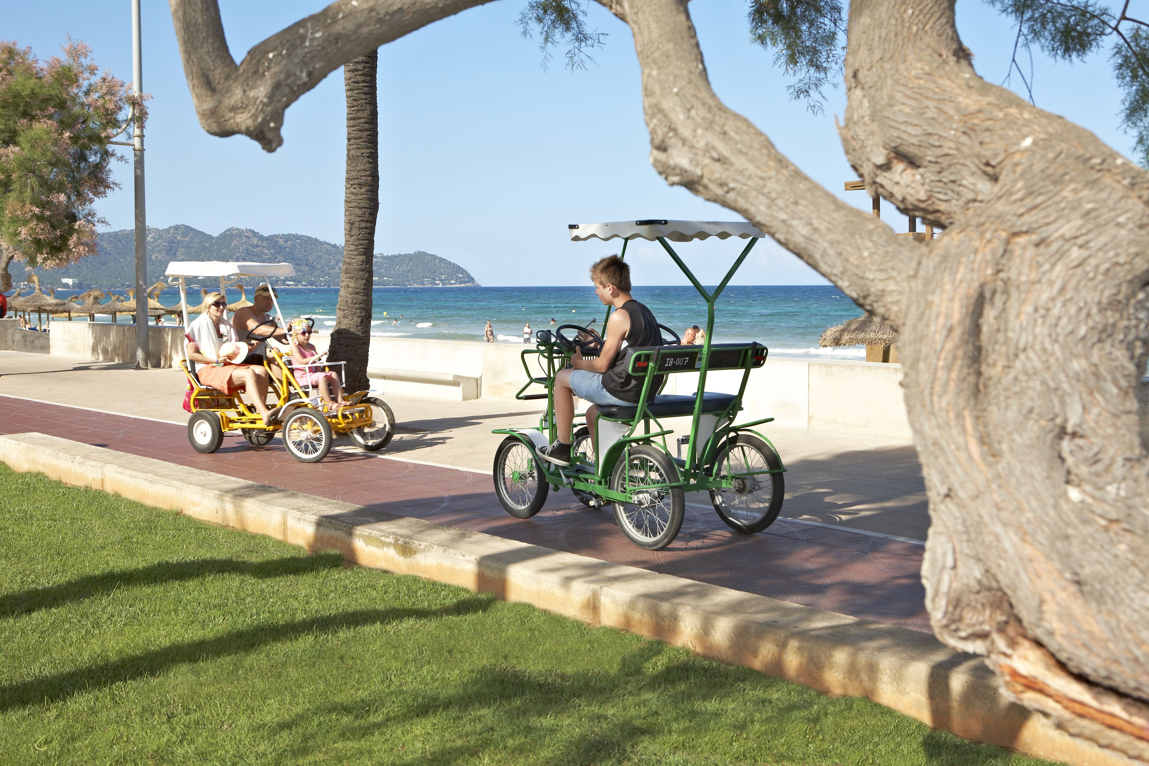 Un paseo marítimo con sendero pavimentado, zona ajardinada y vista al mar.