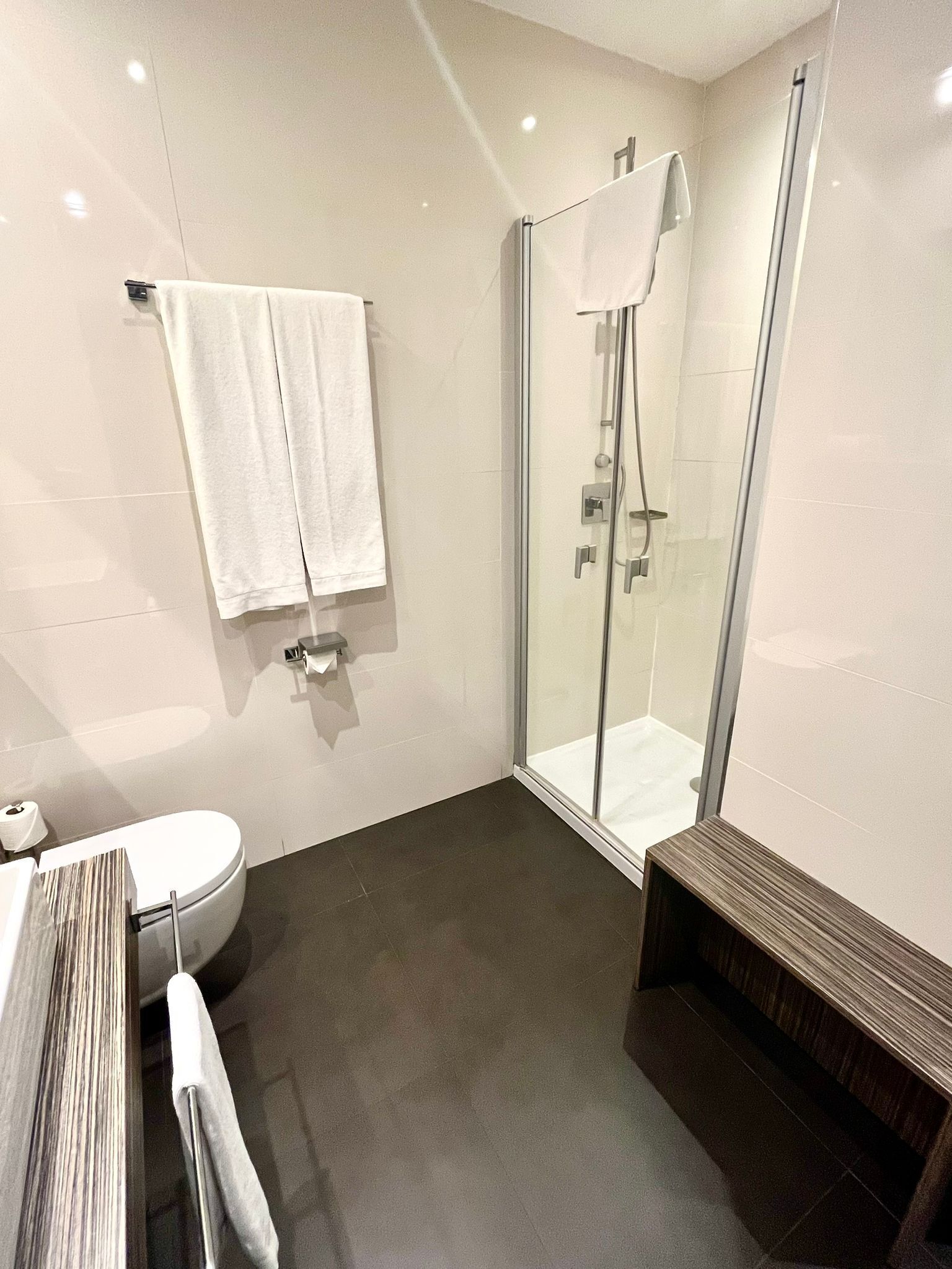 executive room | bathroom | shower, free toiletries, hair dryer, slippers