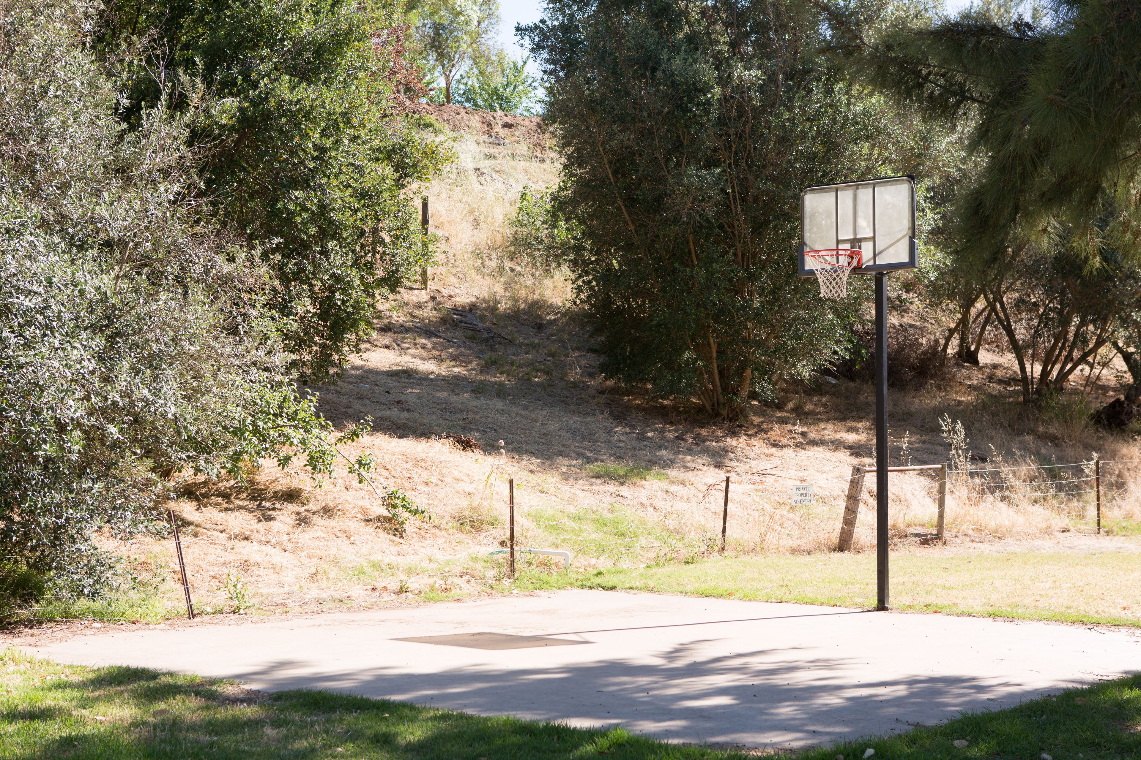 A basketball court with a hoop, surrounded by trees and a dirt path.