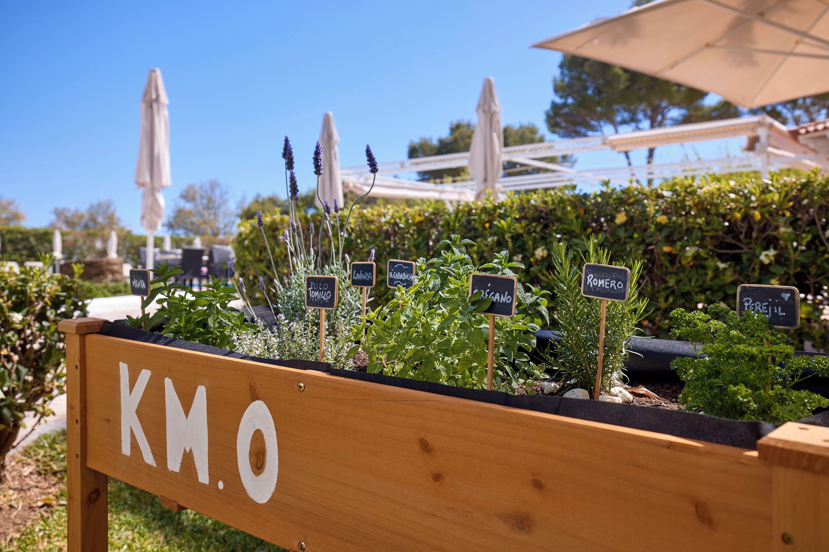 A wooden planter with labeled plants, a clear sky, and outdoor umbrellas.