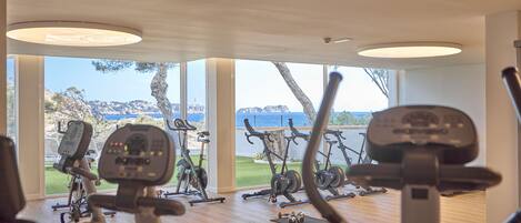 A gym with cardio machines, weights, and yoga mats, overlooking a scenic view.