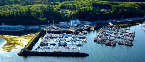Une vue aérienne d’une marina avec de nombreux quais et des bateaux, entourée d’une forêt dense.