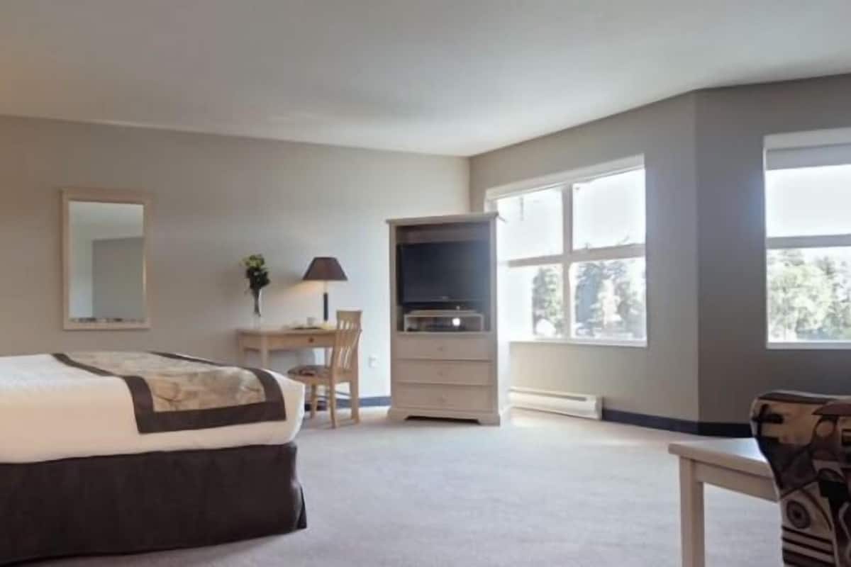 Quarto de hotel com cama, mesa de cabeceira, luminária, cômoda, escrivaninha, cadeira e televisão.