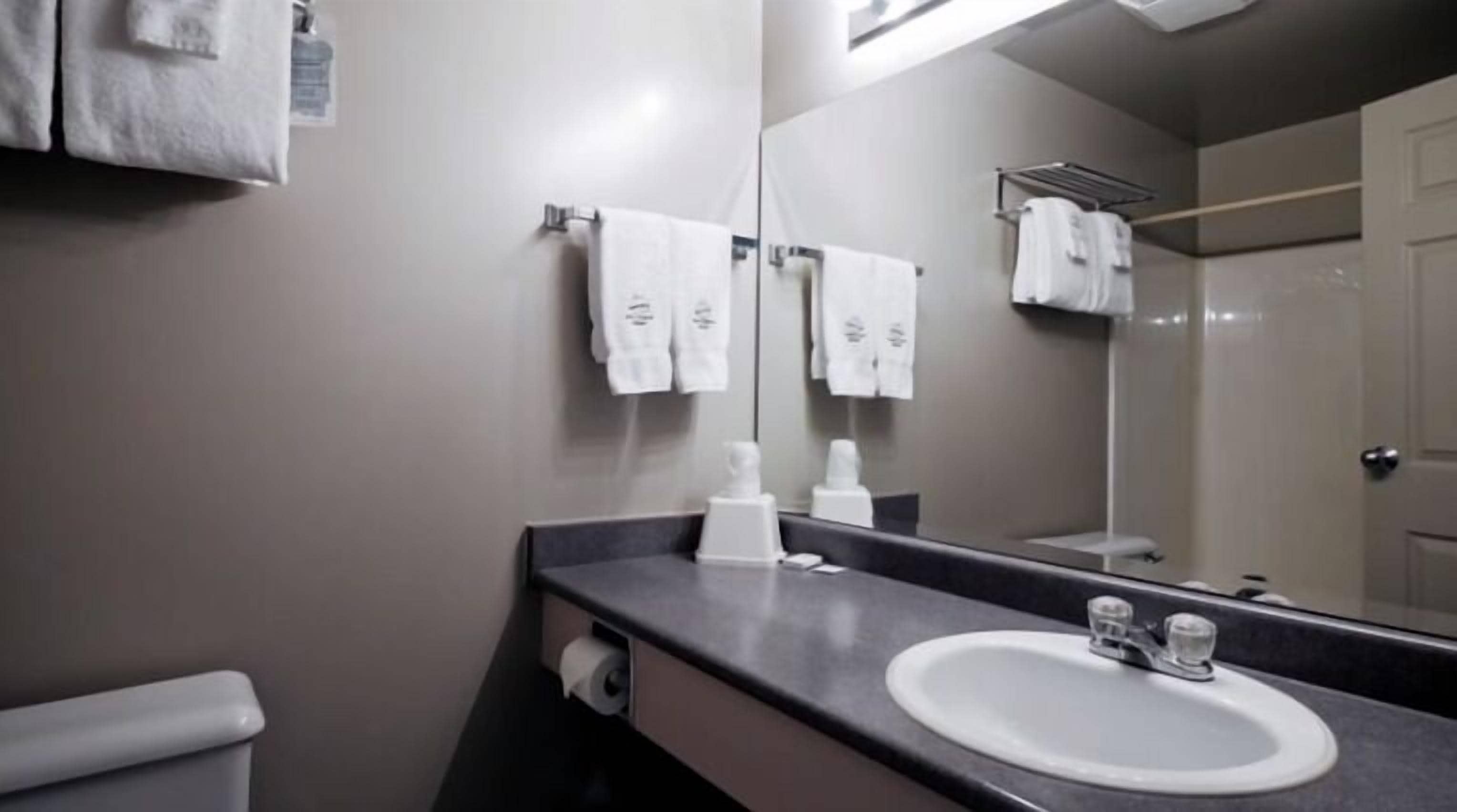 Ein Badezimmer mit Waschbecken, Spiegel, Handtuchhalter und Toilette.