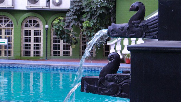 Une fontaine ornée d’une sculpture de cygne noir, dont le bec laisse jaillir de l’eau.