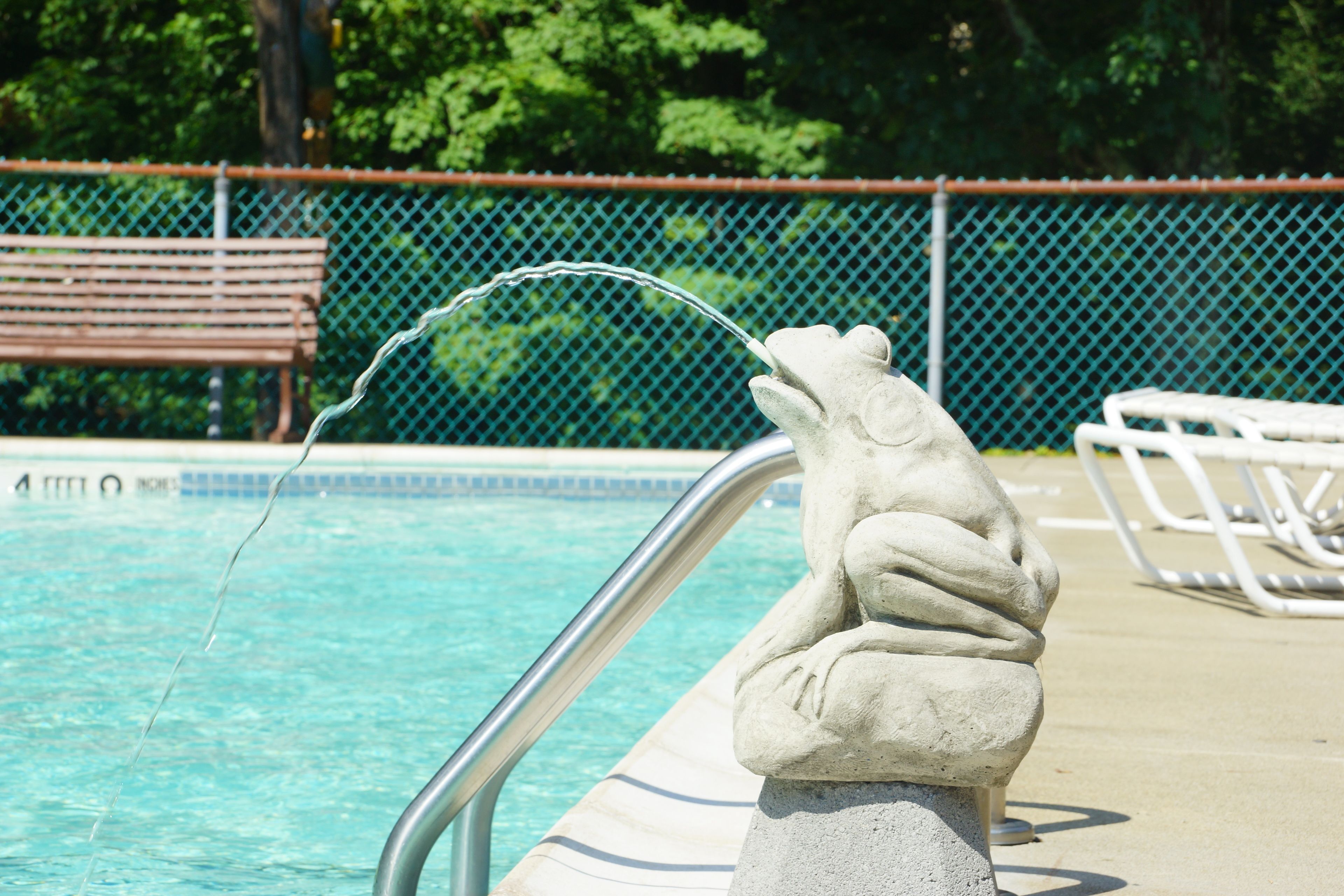 indoor pool, outdoor pool, pool umbrellas, pool loungers