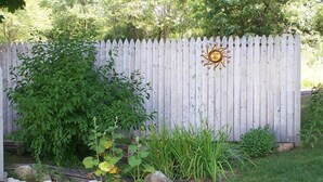 Garden - The Weathervane Motel (Lanesborough)