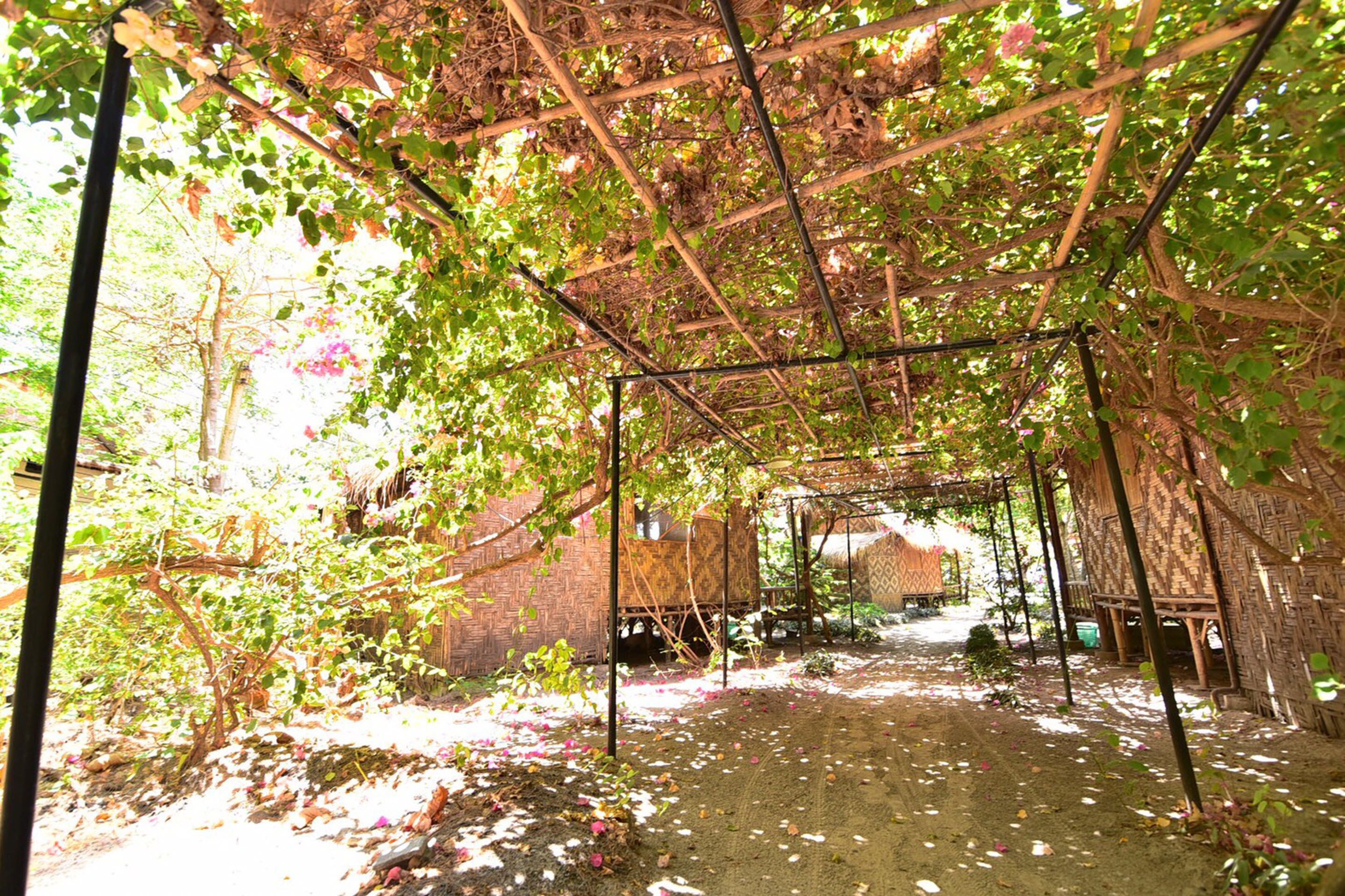 Photo - Green View Beach Resort