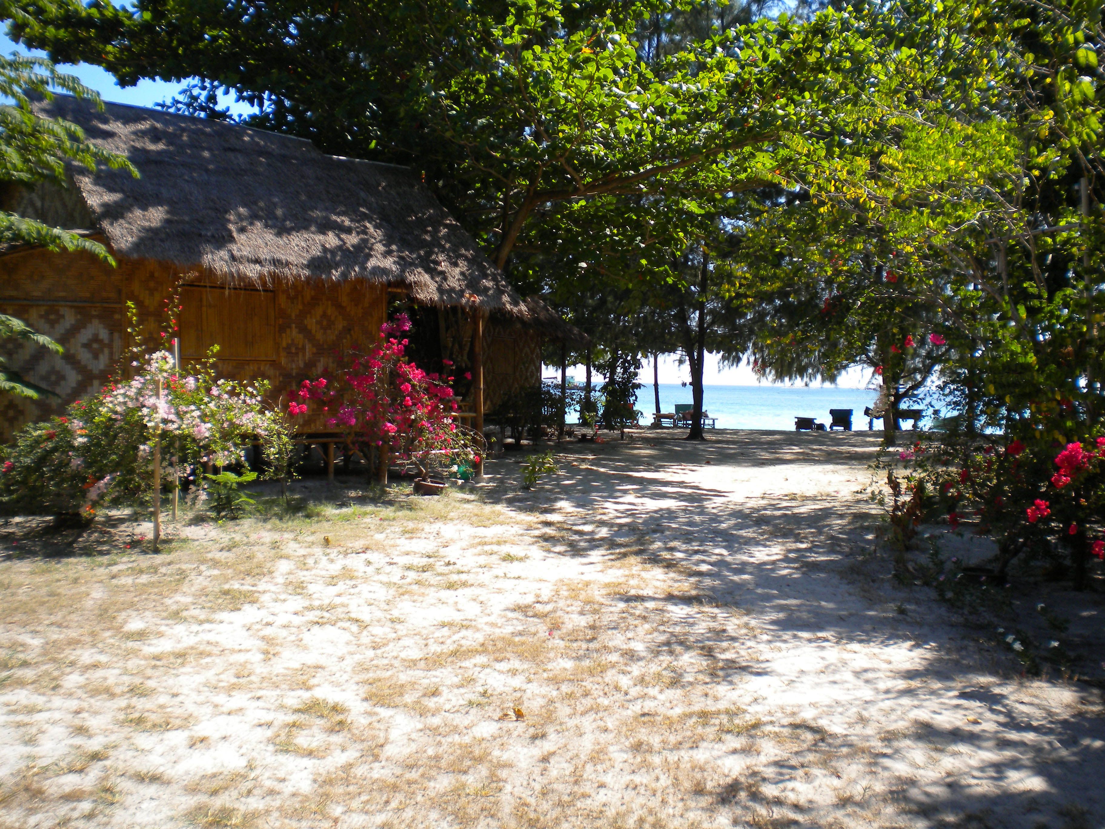 Foto - Green View Beach Resort