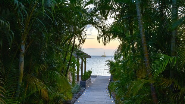 A wooden pathway lined with palm trees leading to a body of water with a sailboat. - Paradise Beach Nevis (Cotton Ground)