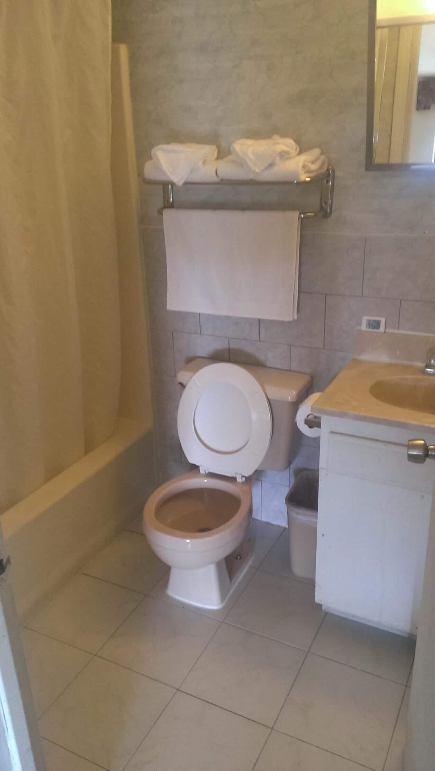 Un baño con inodoro, lavabo, ducha y perchero para toallas.
