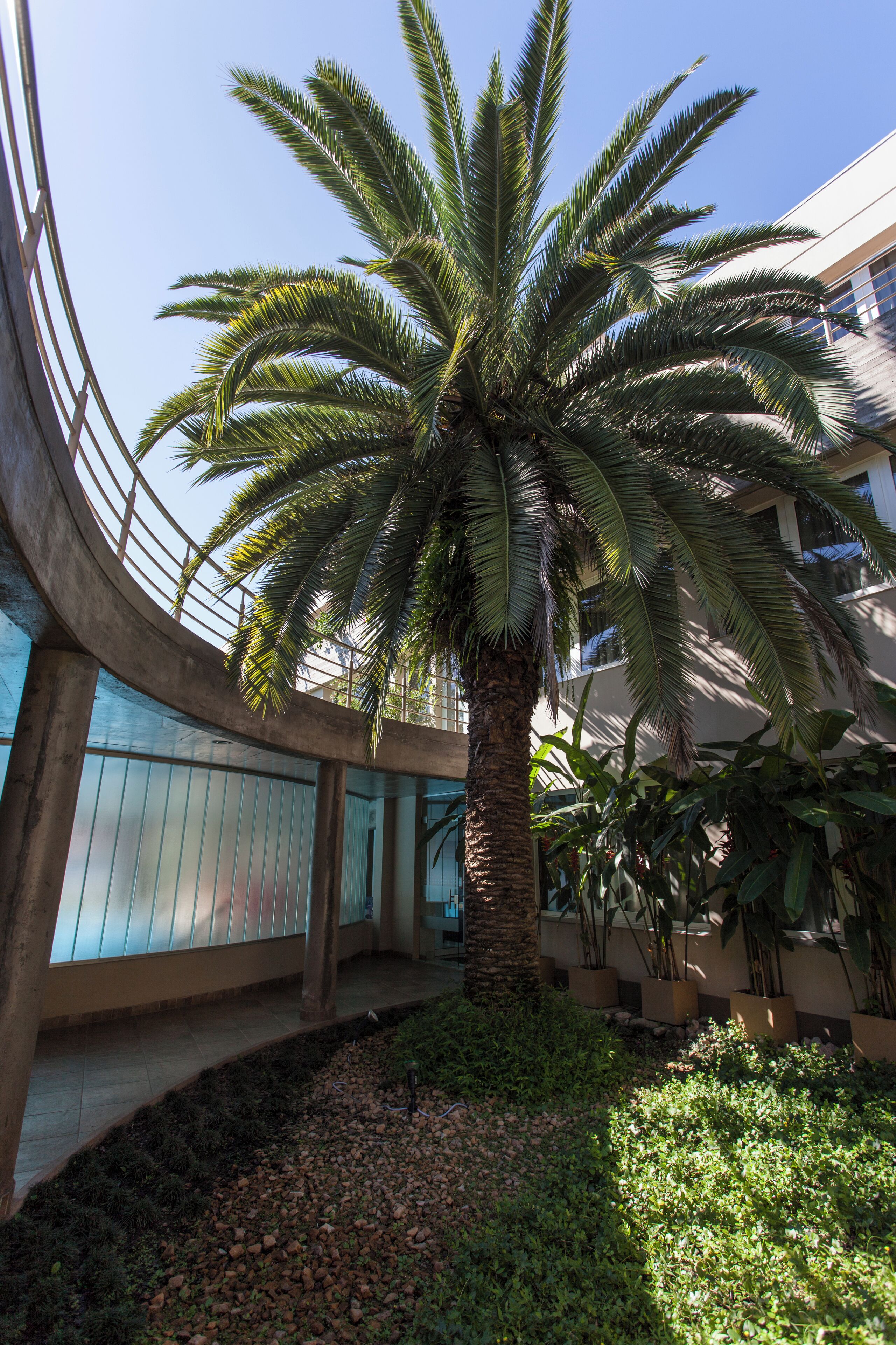 Foto - Howard Johnson Hotel Yerba Buena