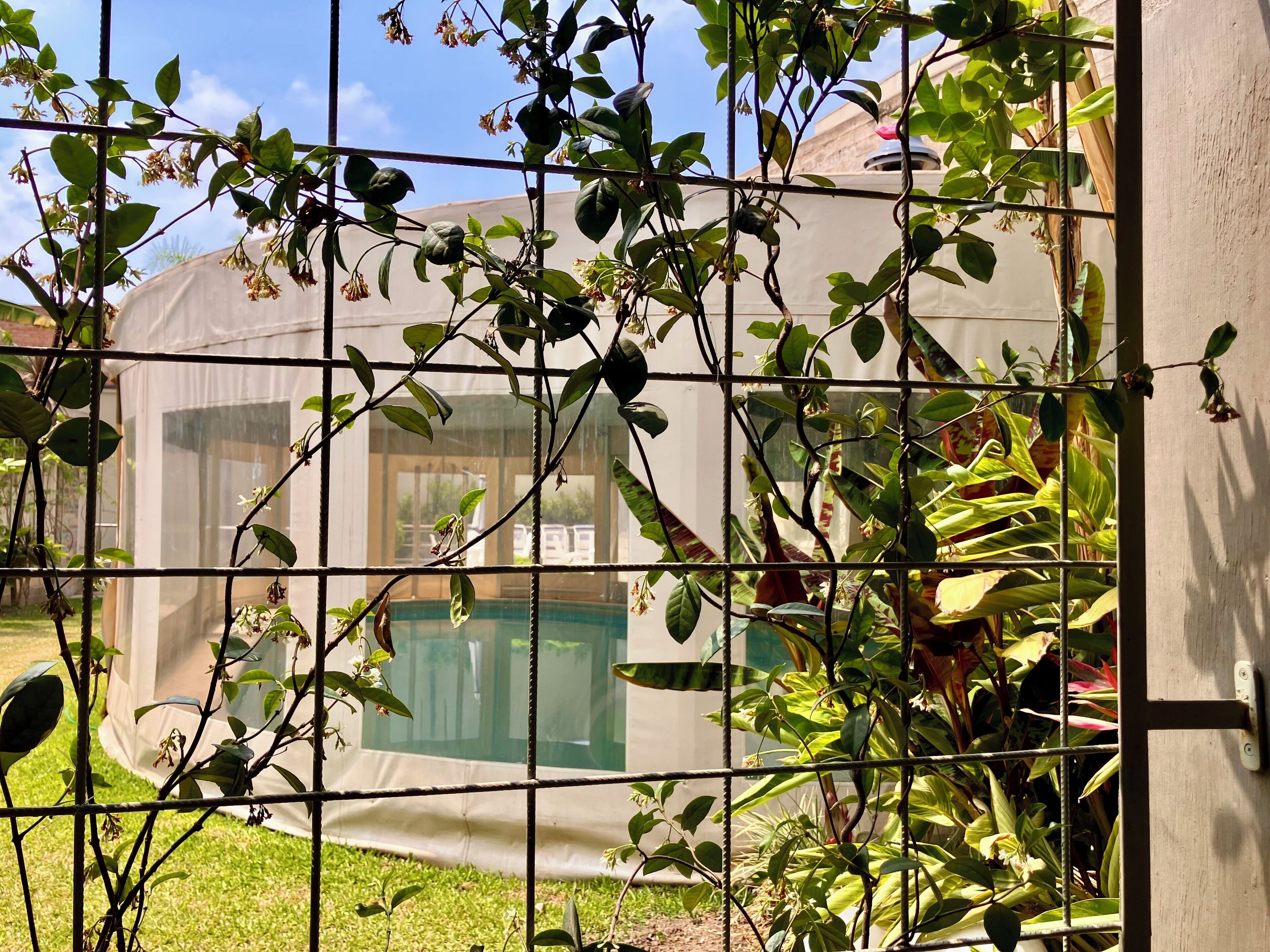 Foto - Howard Johnson Hotel Yerba Buena