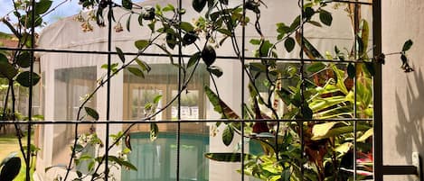 A greenhouse with a mesh fence, a transparent roof, and a view of a pool and garden in the background.