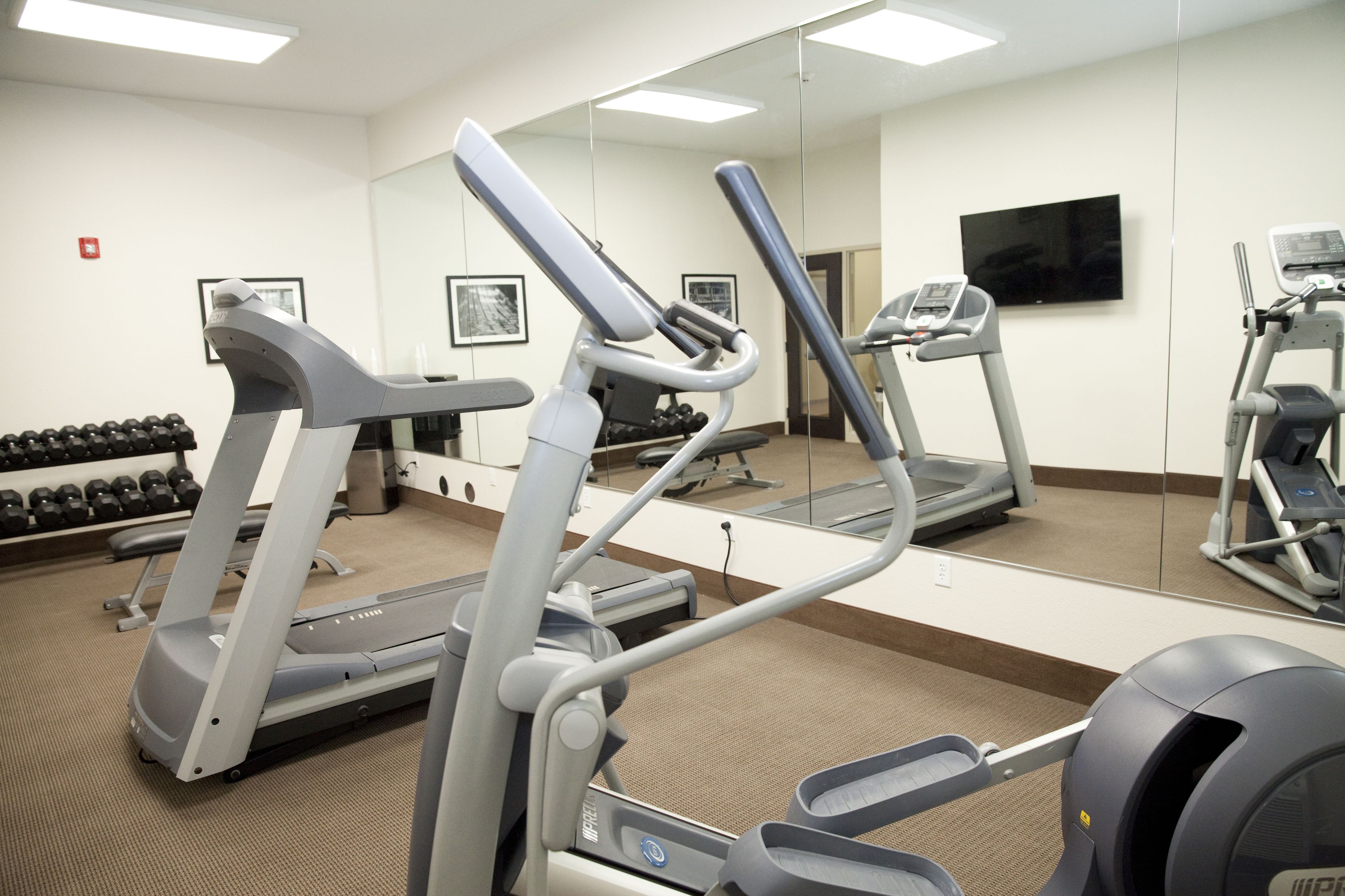 Een fitnessruimte met loopbanden, elliptische trainers en een halterbank.