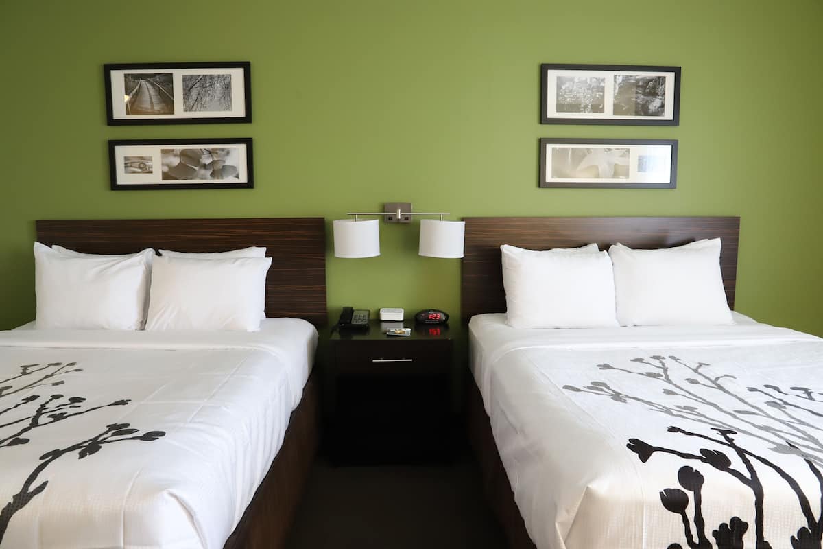 A hotel room with two beds, green walls, framed pictures, a nightstand with a phone, and a clock.