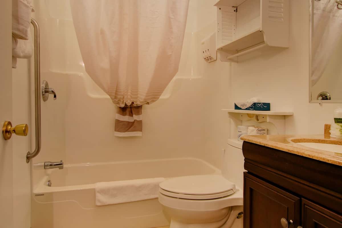 combined shower/bathtub, free toiletries, hair dryer, towels