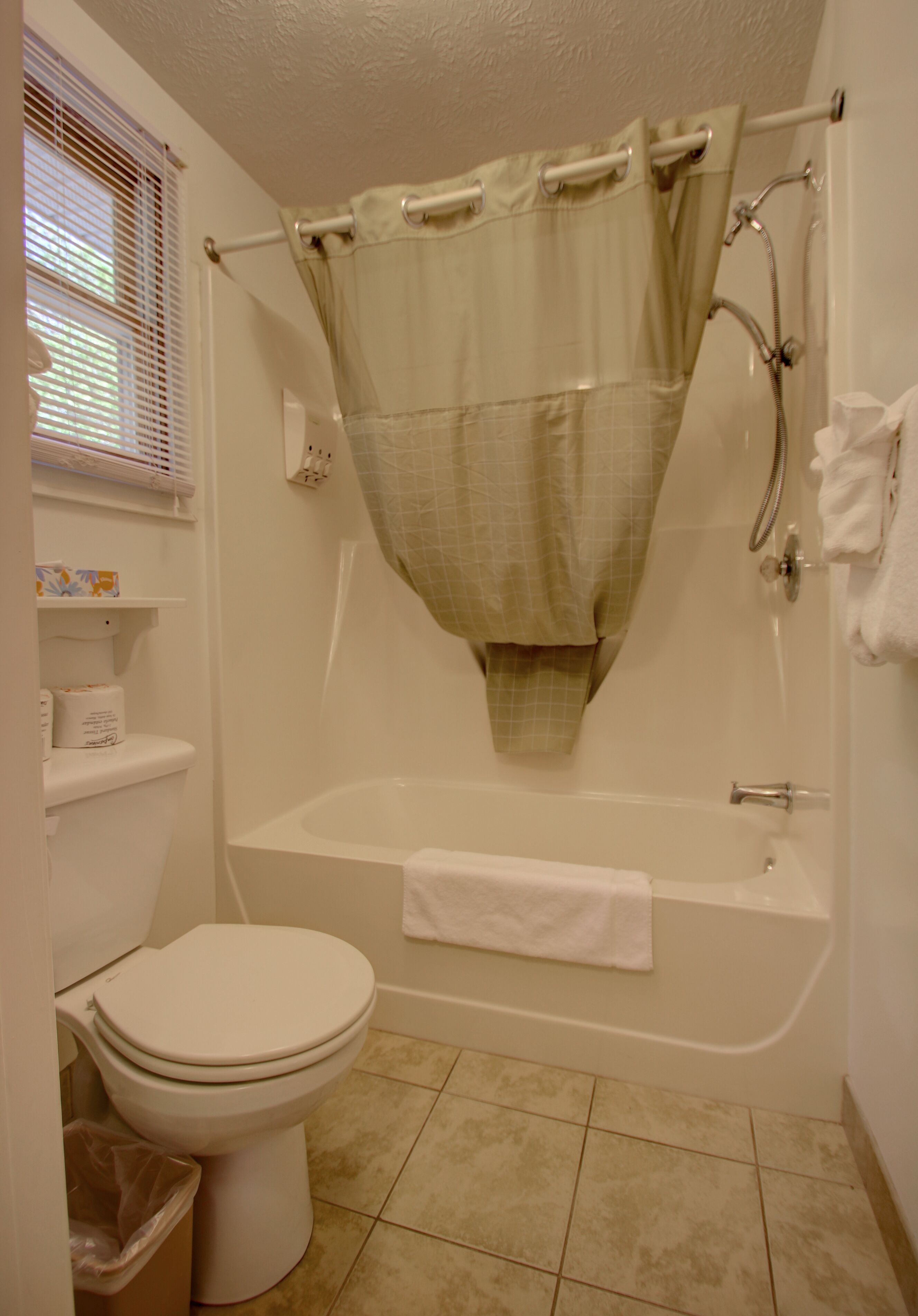 combined shower/bathtub, free toiletries, hair dryer, towels