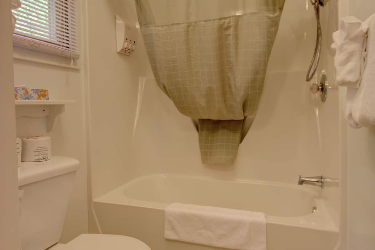combined shower/bathtub, free toiletries, hair dryer, towels