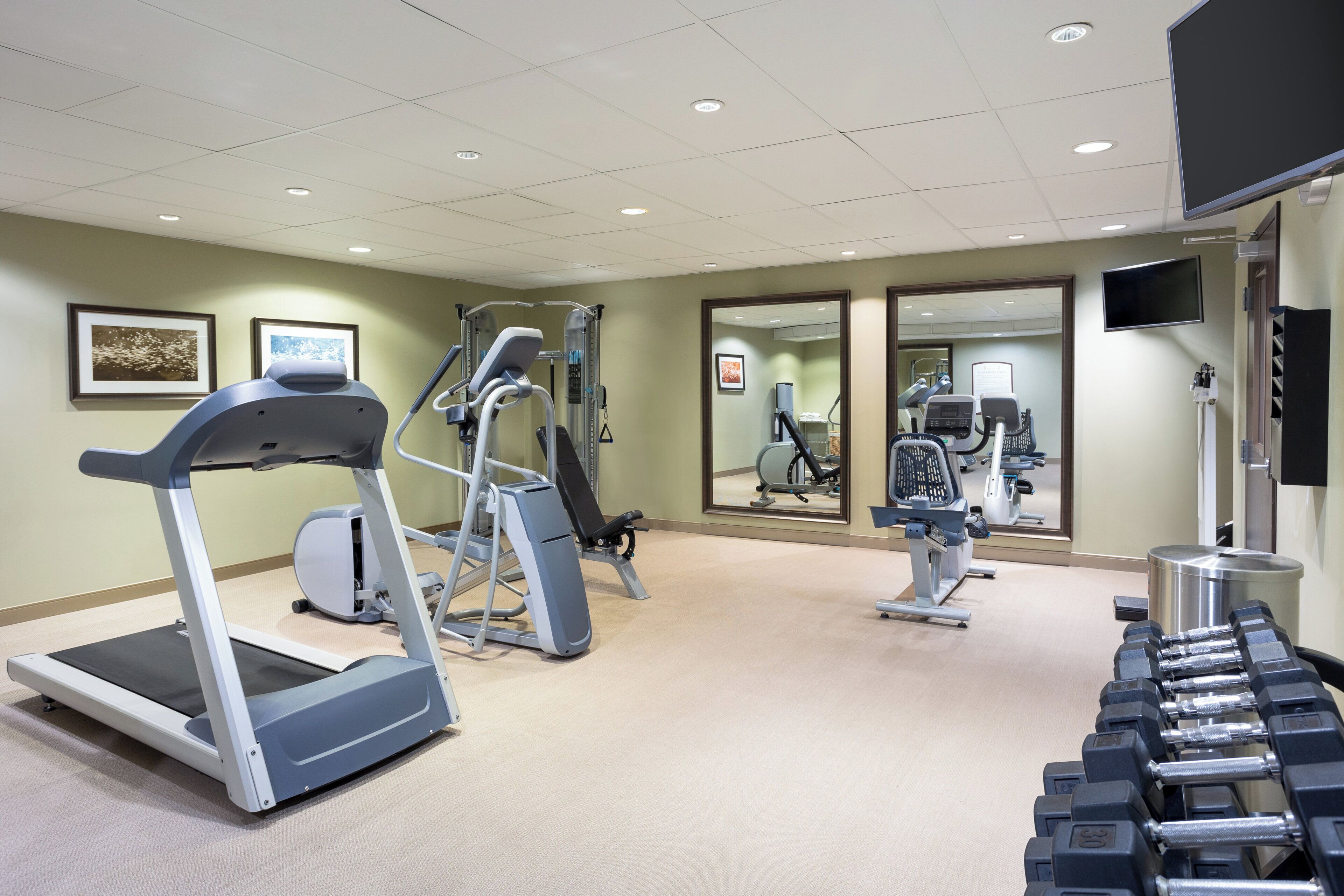 A gym with treadmills, weight machines, and dumbbells.