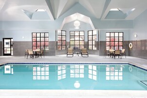 Una piscina con borde de azulejos, rodeada de sillones y mesas, con grandes ventanales que ofrecen vistas a árboles.