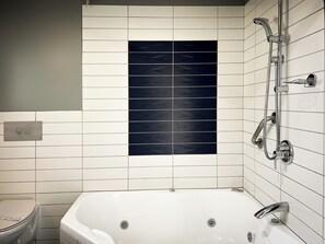 ฝักบัวนวดด้วยพลังน้ำ, ของใช้ในห้องน้ำระดับพรีเมียม, ไดร์เป่าผม